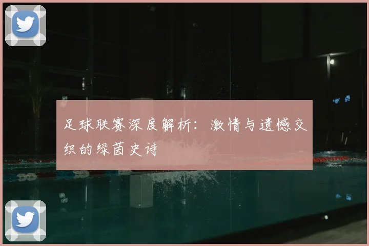足球联赛深度解析：激情与遗憾交织的绿茵史诗